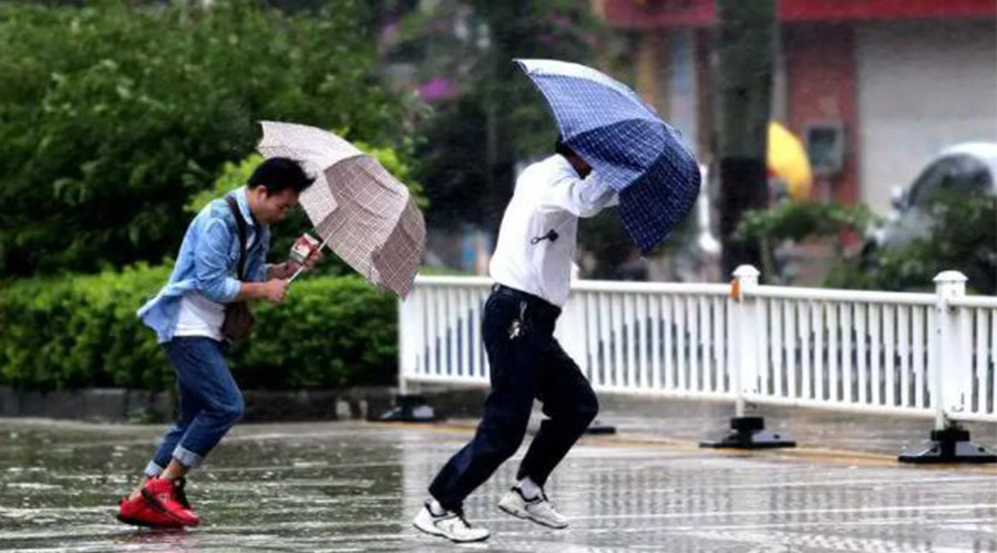9號臺風(fēng)“馬鞍”生成！金環(huán)電器提醒大家要注意的事項