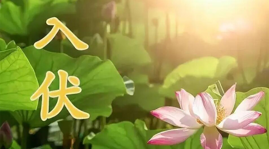 入伏天來襲！金環(huán)電器提醒大家要注意的事項(xiàng)