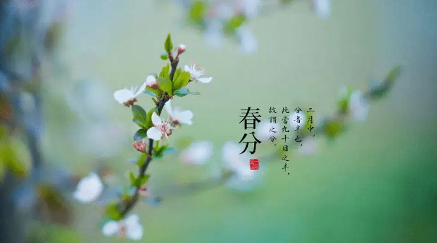 春分雨水多易生菌！金環(huán)電器提醒你衣物要注意處理