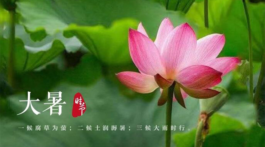 大暑時(shí)節(jié)！金環(huán)電器提醒大家要注意的事項(xiàng)