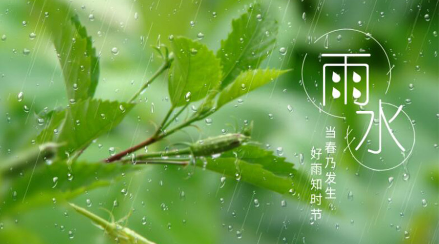雨水時(shí)節(jié)！金環(huán)電器提醒大家要注意的事項(xiàng)